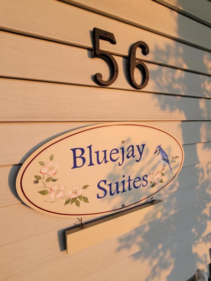 Bluejay Suites B&B ไวท์ฮอร์ส ภายนอก รูปภาพ